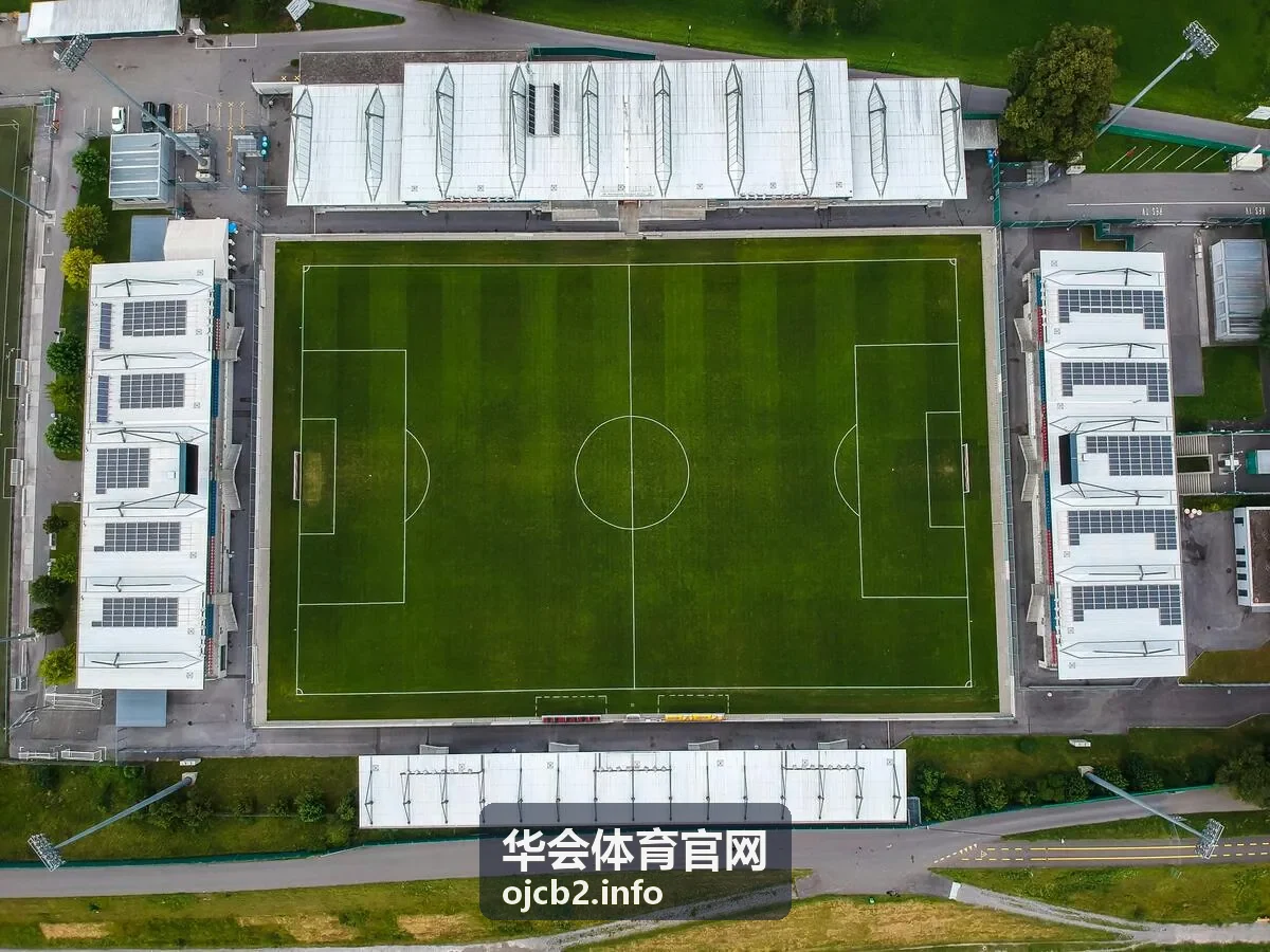 华会体育官网执裁的能源集团秋季球类联赛