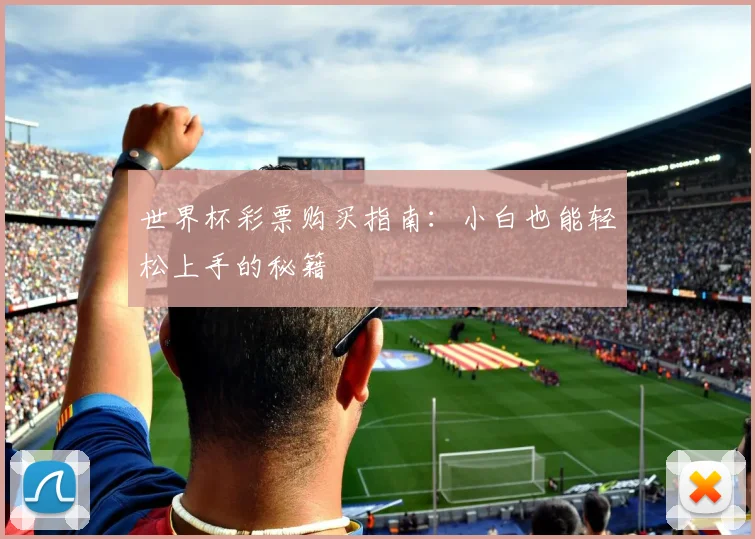 世界杯彩票购买指南:小白也能轻松上手的秘籍