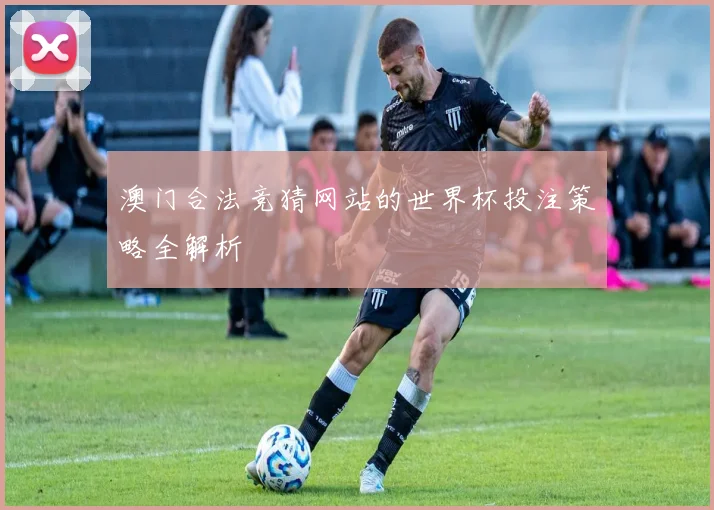 澳门合法竞猜网站的世界杯投注策略全解析