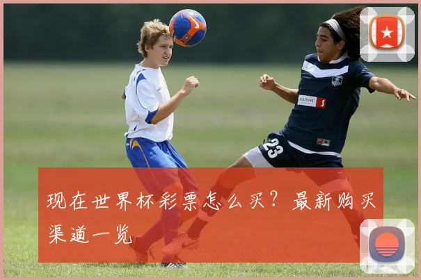 现在世界杯彩票怎么买？最新购买渠道一览