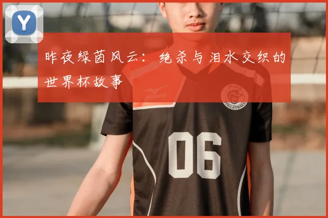 昨夜绿茵风云:绝杀与泪水交织的世界杯故事