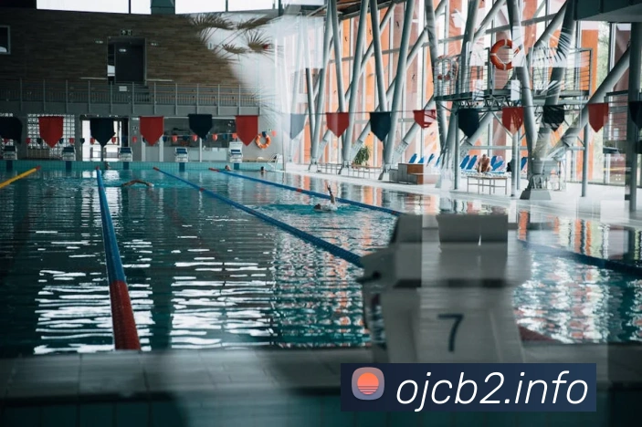 九游网官网入口平台生态图