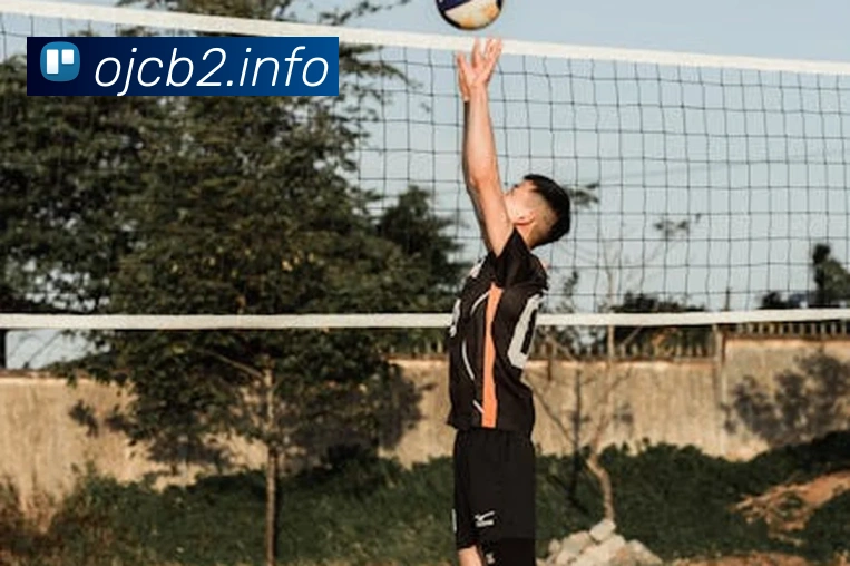 九游网官网入口APP 封面图